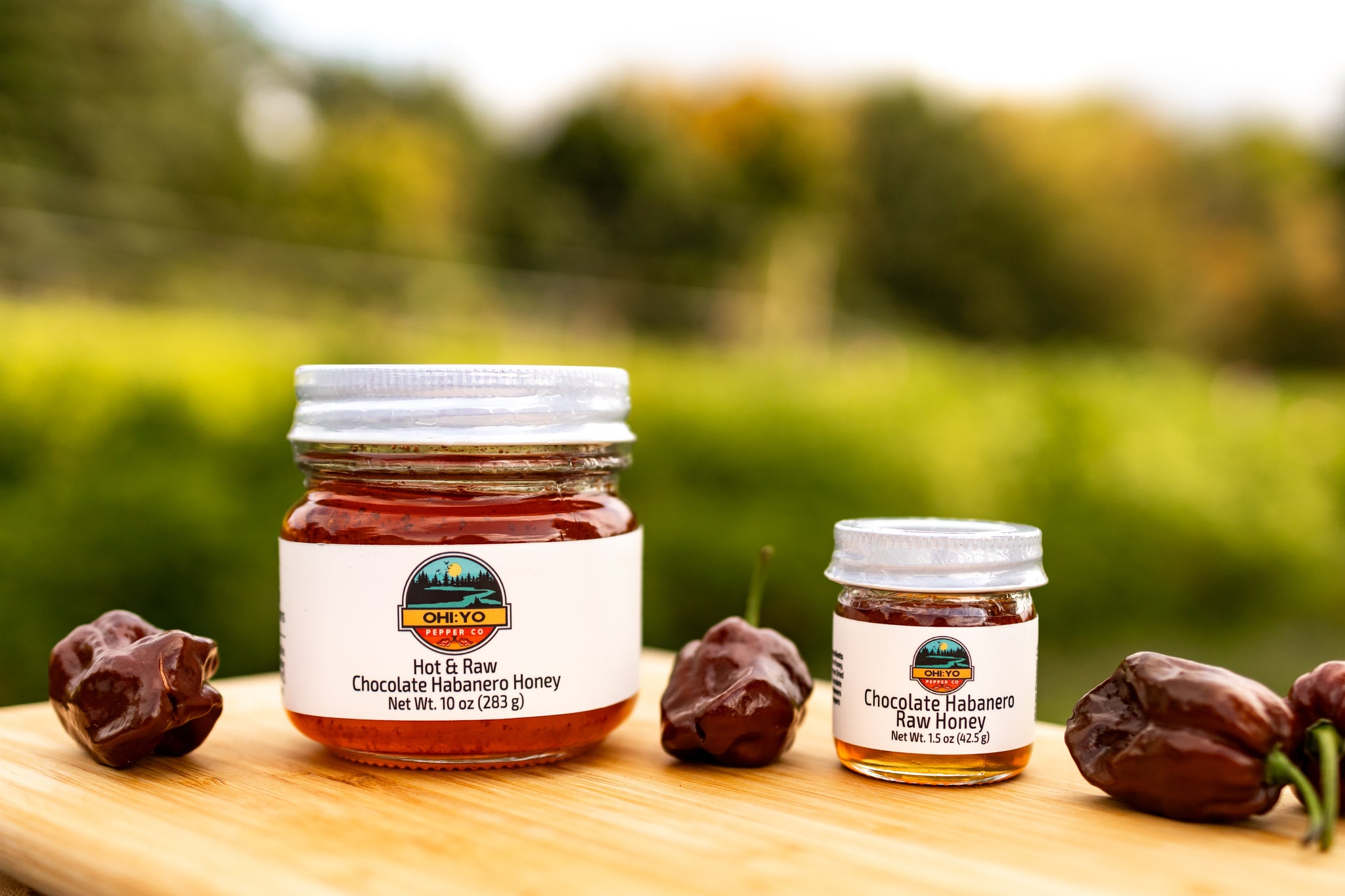Chocolate Habanero Raw Honey