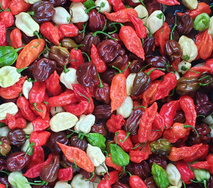 Hot pepper variety, fresh hot peppers, ghost peppers, super hot peppers, spicy food, bulk hot peppers