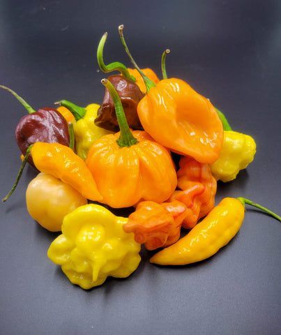 datil pepper, habanero pepper, bahamian goat, fresh peppers, lemon starrburst, sugar rush peach, fresh picked hot peppers