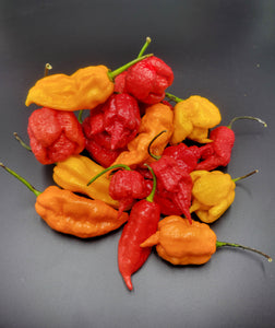 hot peppers, super hot peppers, superhots, fresh peppers, fresh picked, fresh hot peppers, fresh hot pods, fresh pods, fresh superhot peppers, pepper pods, peppers, 1,000,000 scoville peppers, 2,000,000 scoville peppers, scoville heat units, spicy peppers